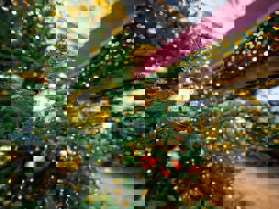 World Lng Summit Awards Berlin 2024 Web Ready 4 Min