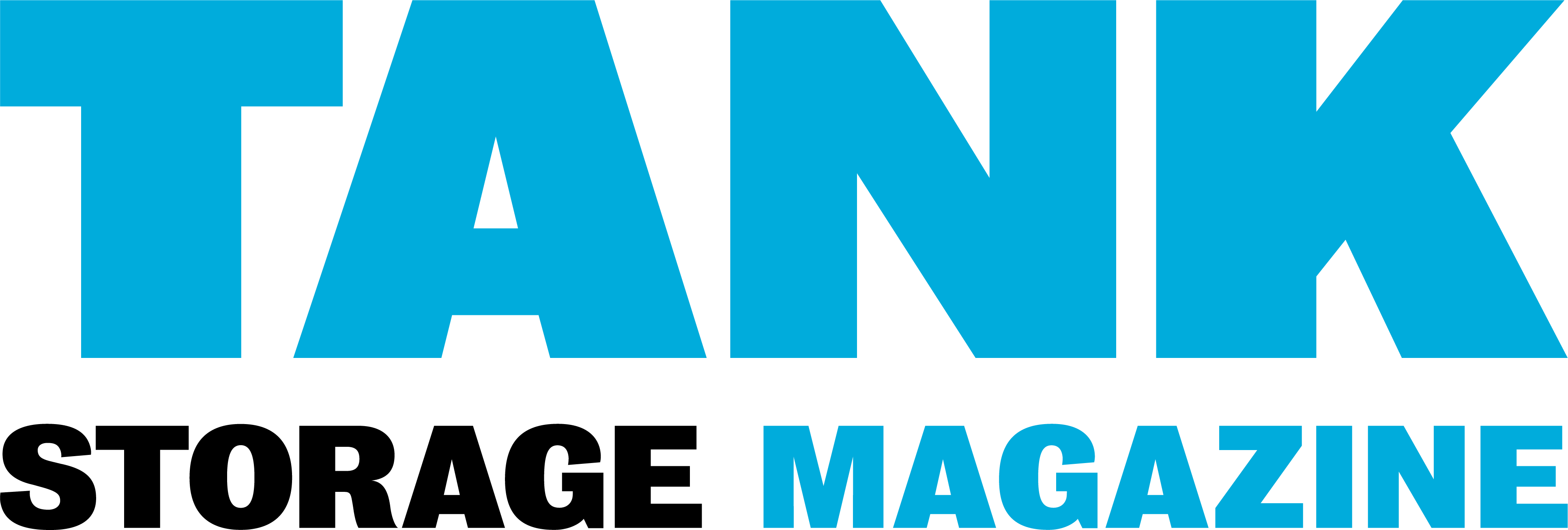 Tsmagazine Logo Black