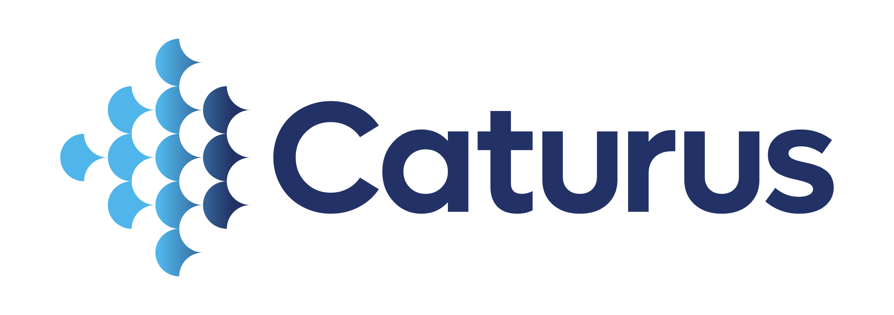 Caturus