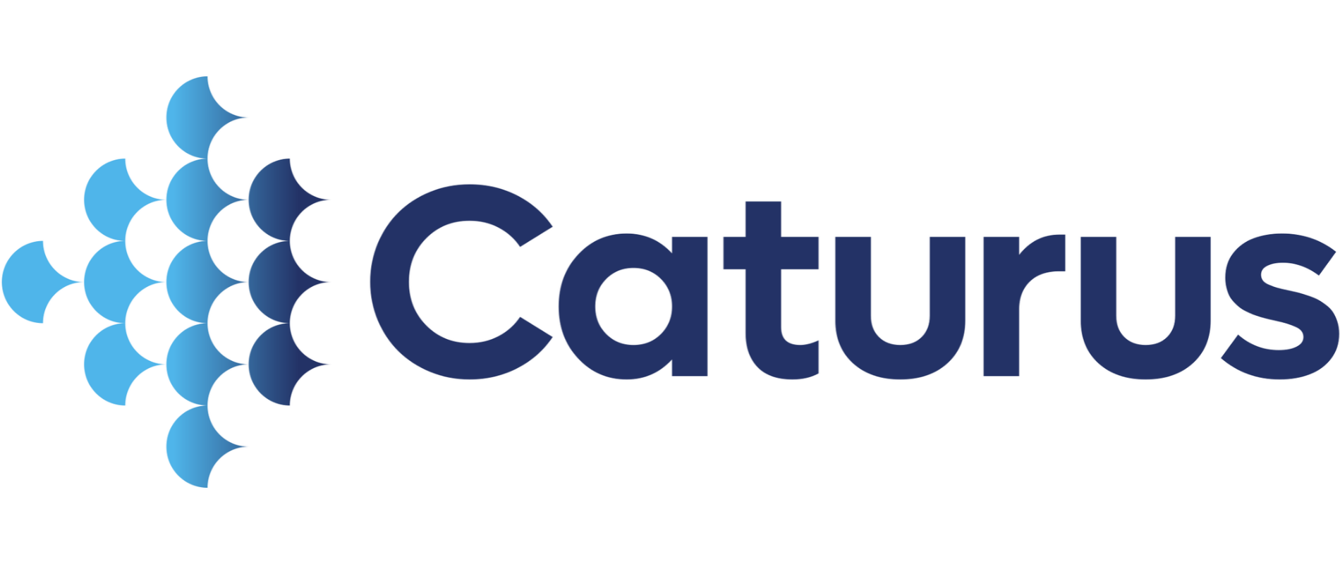 Caturus