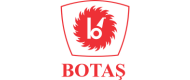 Botas