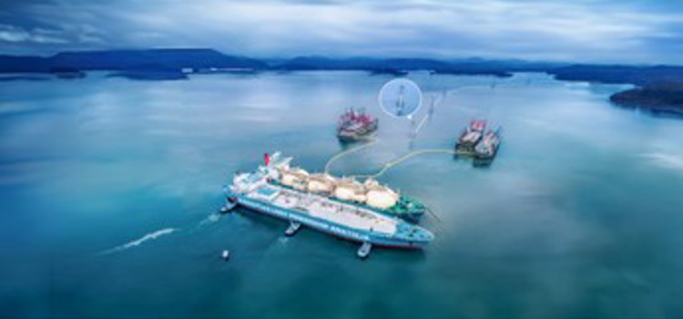 Brazil Project Layout